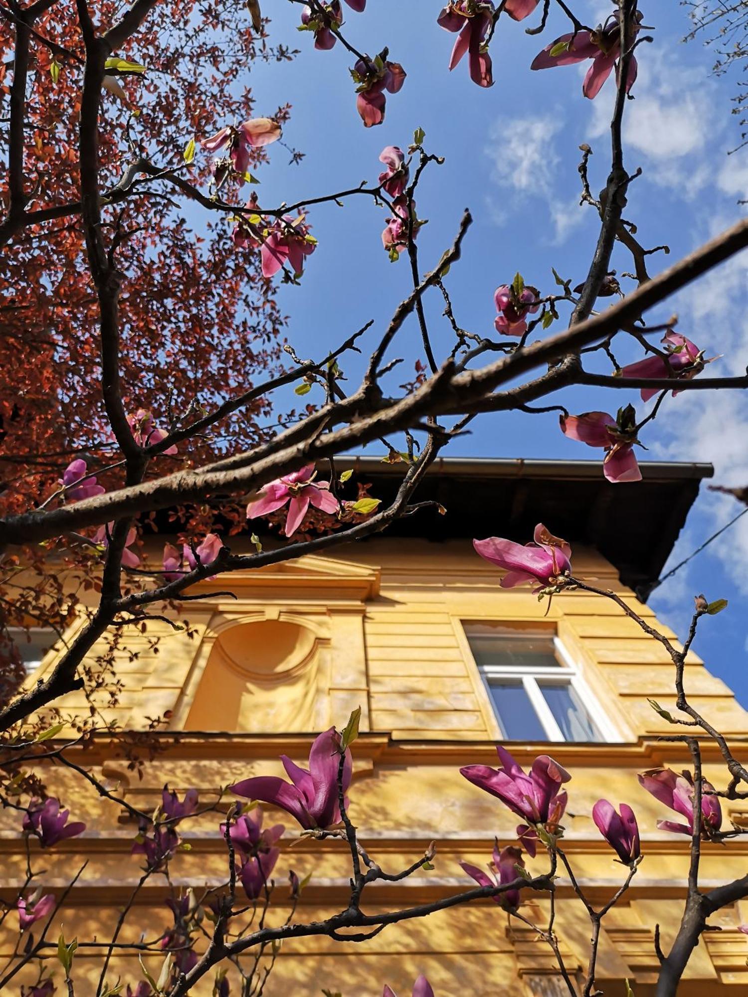 The Villa, Ljubljana City Center Экстерьер фото